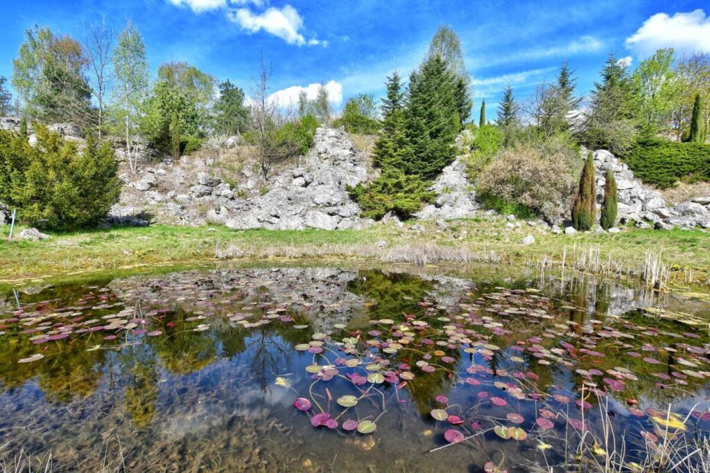 Ogród Botaniczny w Myślęcinku