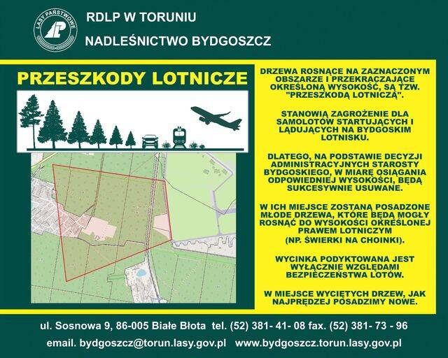 Wielka wycinka lasu koło Bydgoszczy? Leśnicy uspokajają mieszkańców