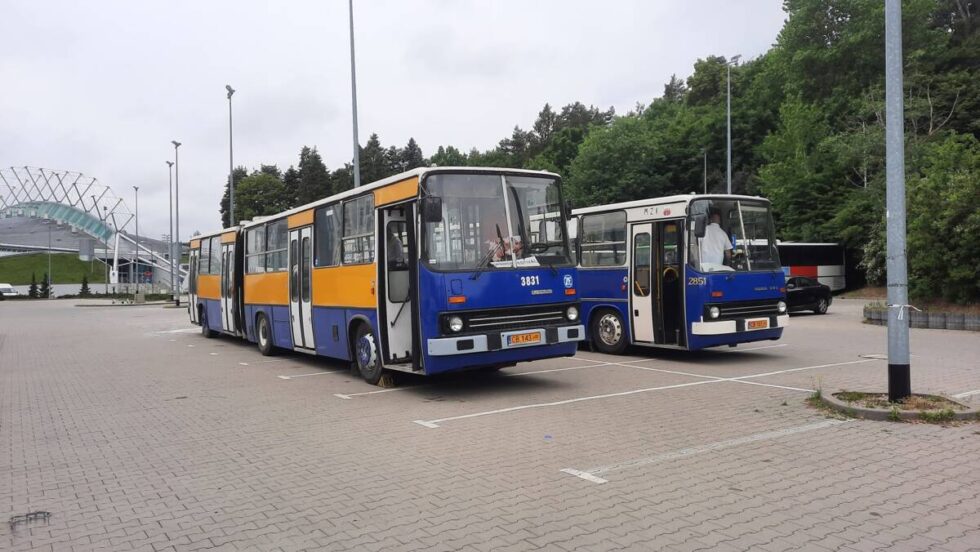 Zabytkowe autobusy na ulicach Bydgoszczy. Uwaga! Zmiany w komunikacji miejskiej z powodu triathlonu
