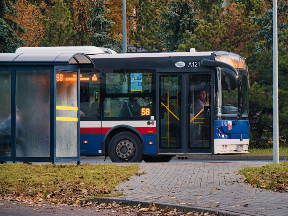 Autobusem dojedziemy z Bydgoszczy do Borówna – nie tylko w sezonie letnim
