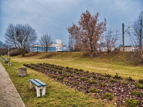 Park nad Kanałem Bydgoskim