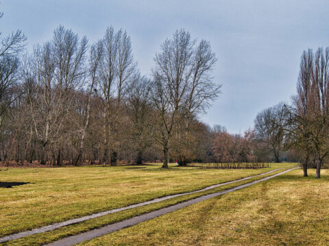 Park nad Kanałem Bydgoskim