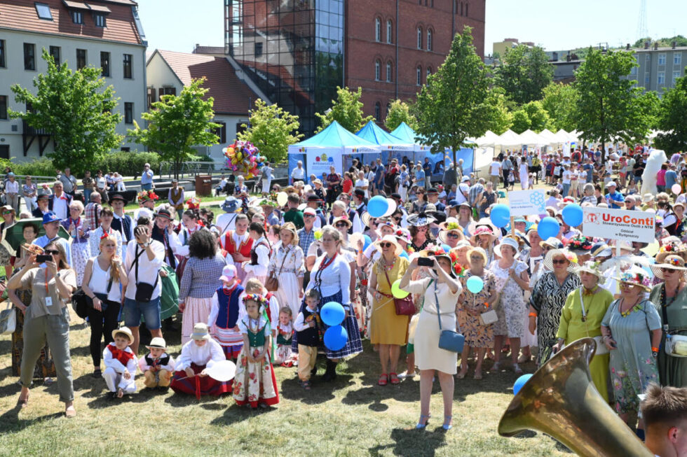 NGO Fest na Wyspie Młyńskiej. Tu dobra zabawa spotyka społeczne zaangażowanie