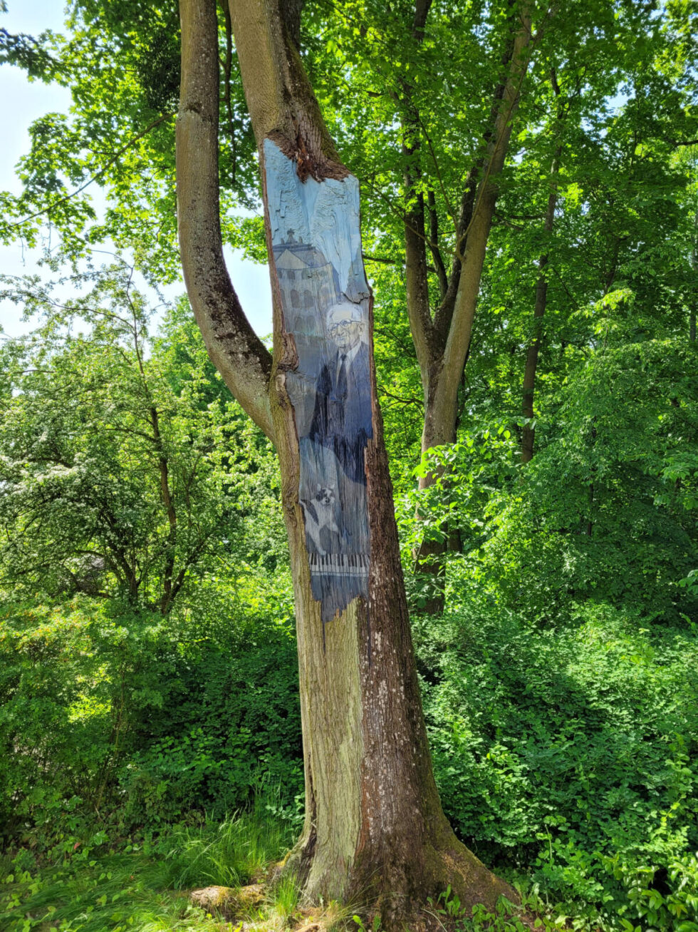 Niezwykłe obrazy na pniach bydgoskich drzew. Stworzył je artysta z Litwy