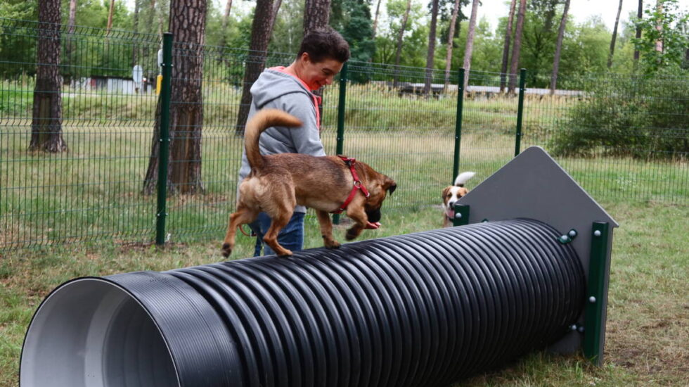 Bydgoszcz ma nowy wybieg dla psów. Czworonogi wyhasają się na Osiedlu Leśnym [ZDJĘCIA]