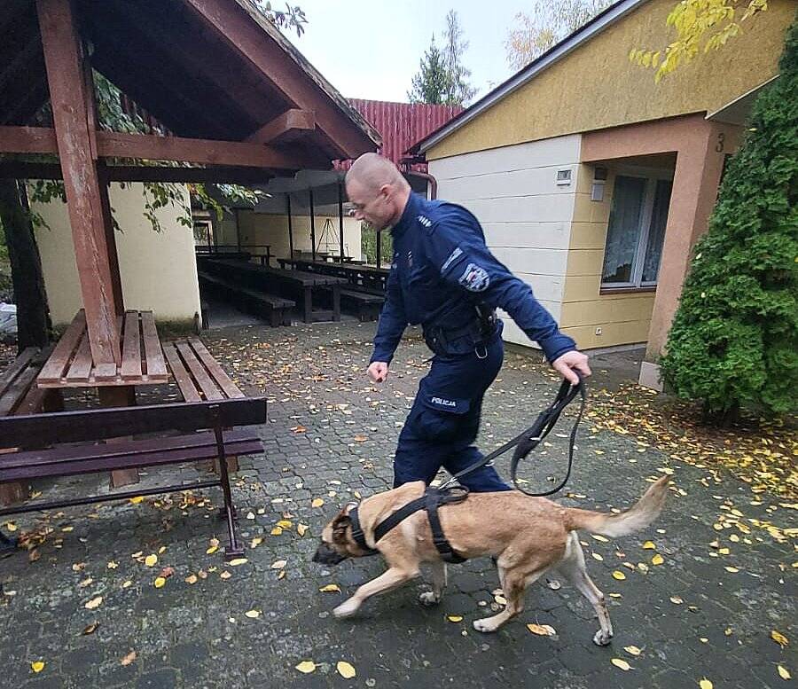 Policja sprawdziła umiejętności swoich psów w tropieniu ludzi, narkotyków i materiałów wybuchowych [ZDJĘCIA, WIDEO]