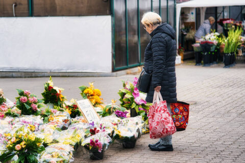 Kwiaty przed dniem Wszystkich Świętych