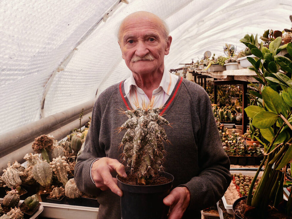 Piotr Licznerski skończył 75 lat i zrobił doktorat. Ze swoich ukochanych kaktusów. Ma ich ponad milion