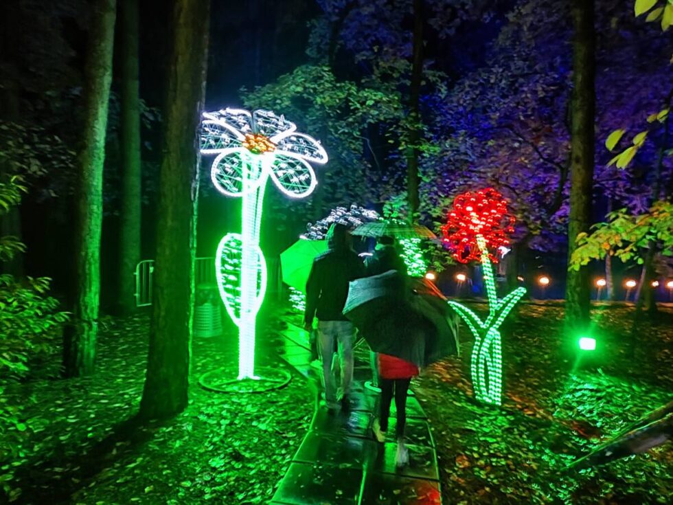 Lumina Park otworzył się dla gości. Tak wygląda Magiczna Podróż Świateł [ZDJĘCIA]