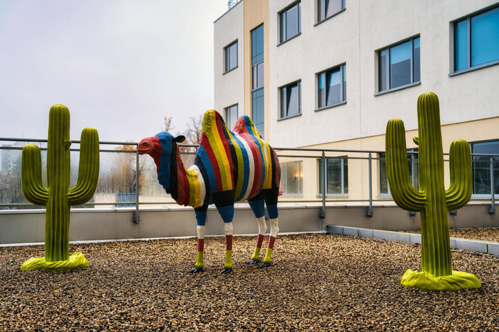 Wielbłądy, flamingi i tukany to nowi mieszkańcy szpitala dziecięcego w Bydgoszczy. Dla małych pacjentów powstał Zaczarowany Taras