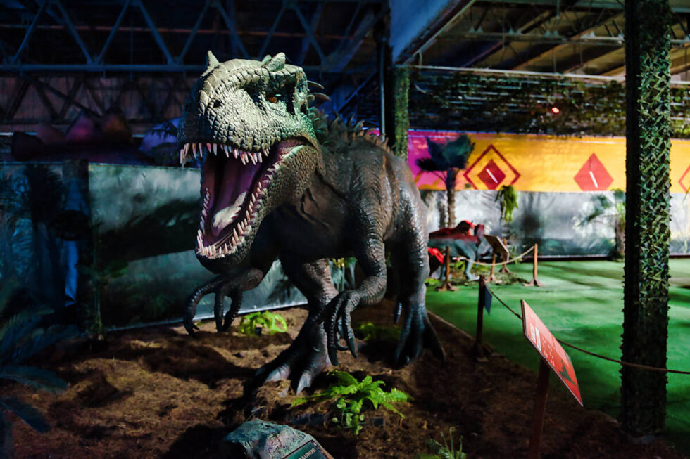 Dinozaury odżyły na Kapuściskach. W Bydgoszczy otwarto wystawę Dinoworld [ZDJĘCIA]