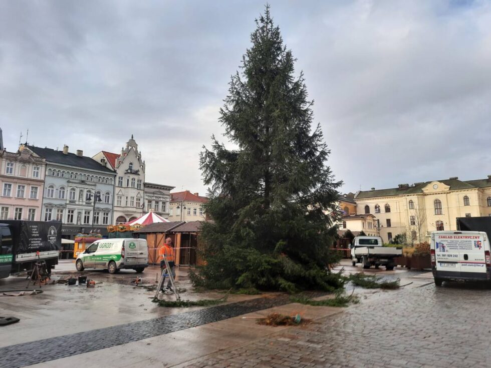 Choinka już stanęła na Starym Rynku. W sobotę zabłyśnie podczas inauguracji Bydgoskiego Jarmarku Świątecznego