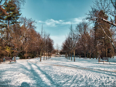 Park Witosa zimą