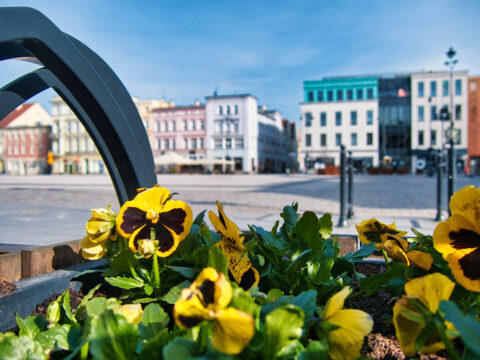 Od 1 kwietnia pierwsze ogródki letnie pojawią się w centrum Bydgoszczy