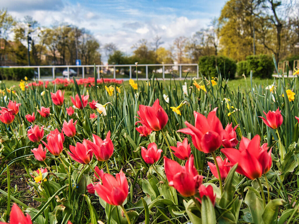 Park nad Kanałem Bydgoskim