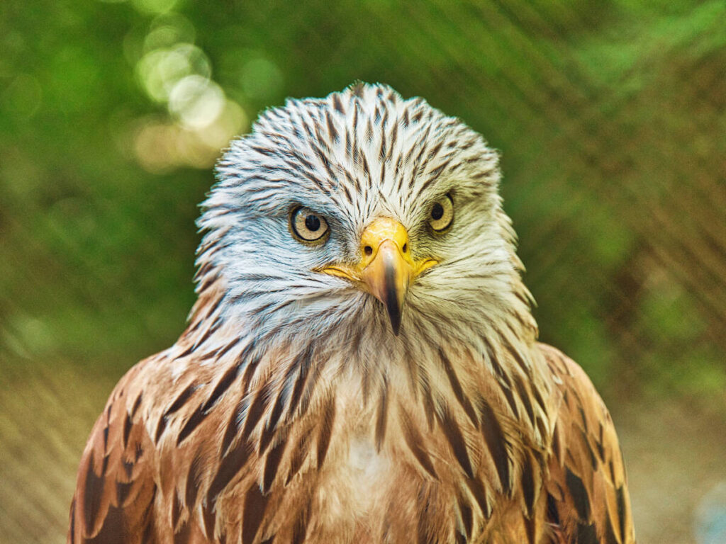 Zoo na majówkę