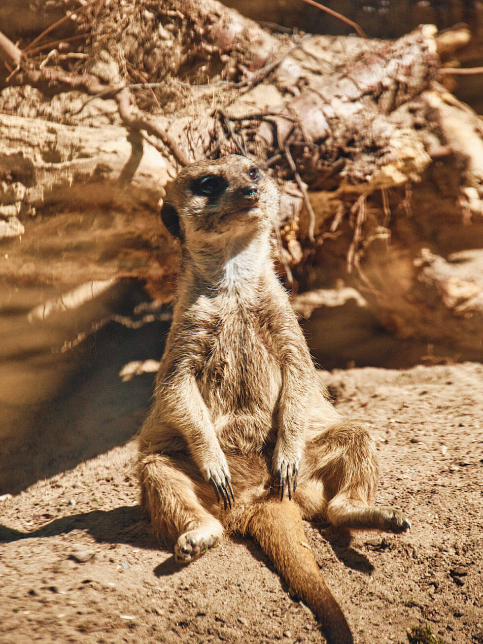 Bydgoski Festiwal Nauki i inne atrakcje – co, gdzie i kiedy dzieje w się w mieście w weekend 14-16 listopada [ZAPOWIEDZI]