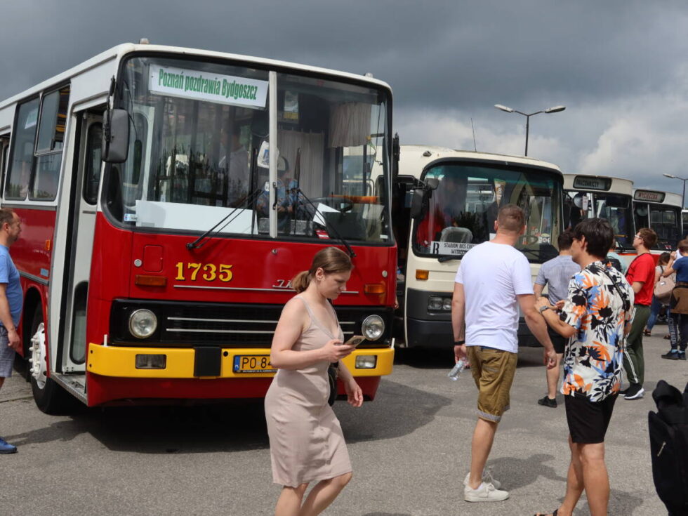 Zlot zabytkowych autobusów w Bydgoszczy, jak zwykle przyciągnął rzesze mieszkańców [ZDJĘCIA]