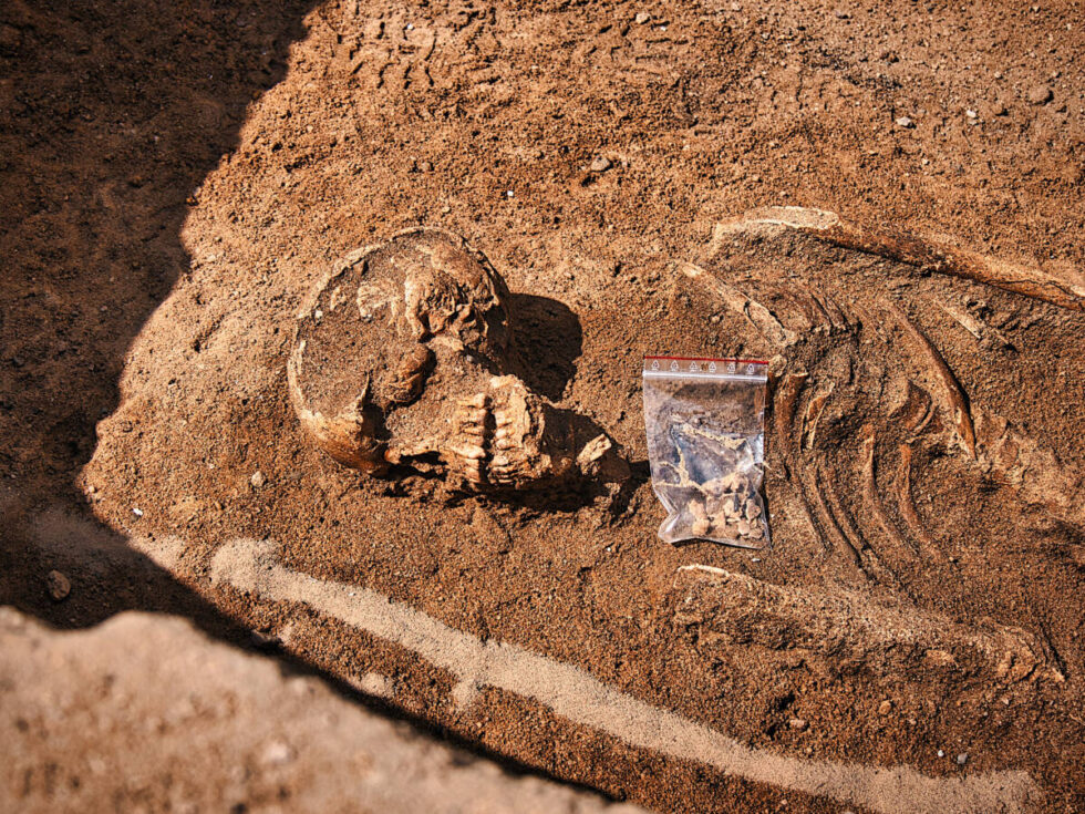 Średniowieczni przodkowie fordoniaków. Trwają badania archeologiczne przy dawnym grodzisku Wyszogród