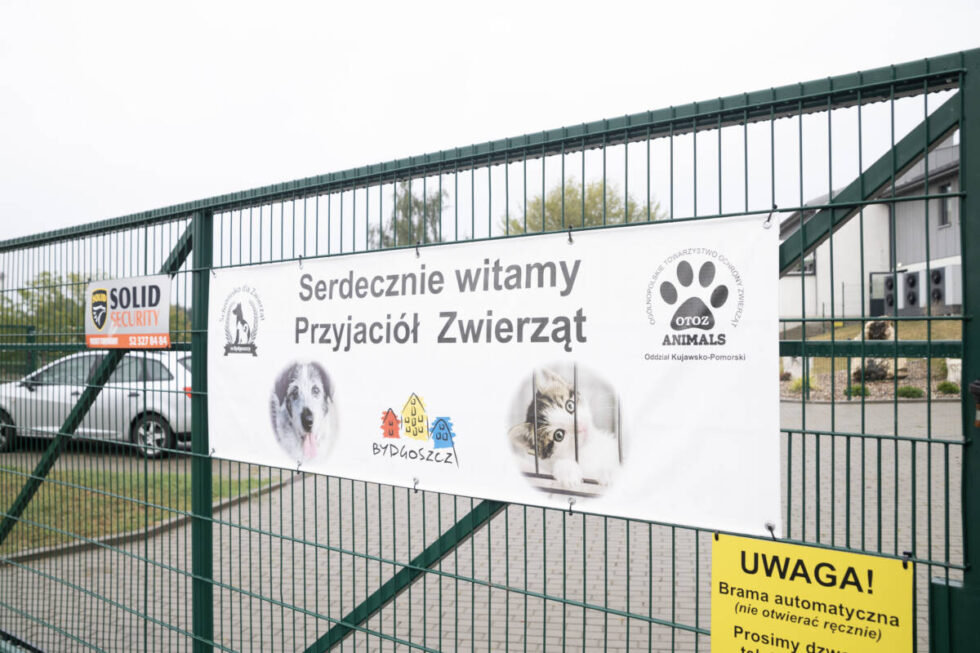 Nie chcesz cierpienia psa przywiązanego łańcuchem do budy? Projekt zmian czeka na Twój podpis