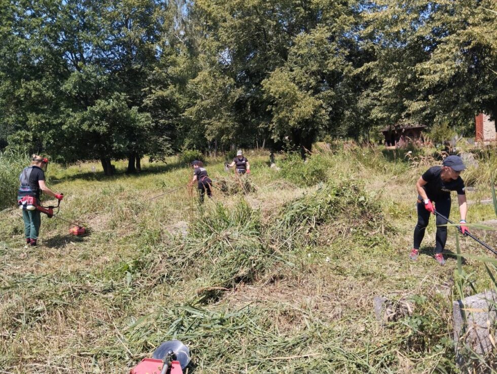 Inny nie znaczy gorszy, tylko różnorodny – Świetliki dbają nie tylko o niepełnosprawnych