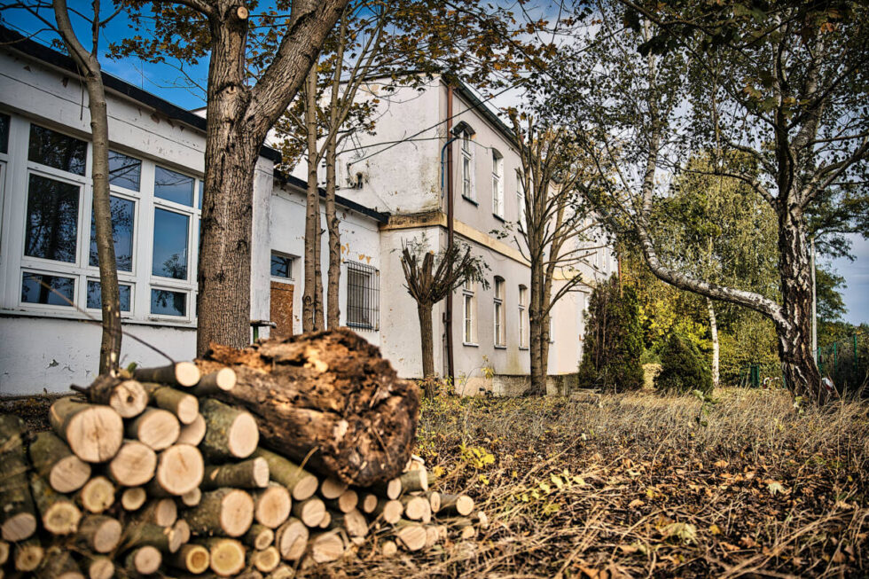 Bal karnawałowy na którym można zatańczyć i pomóc w charytatywnej aukcji