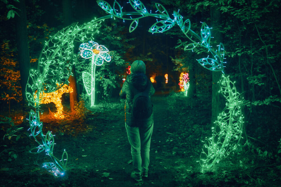 Zakończenie sezonu w Lumina Parku. W niedzielę ostatnia okazja na odwiedziny