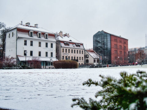 Śnieg w styczniu