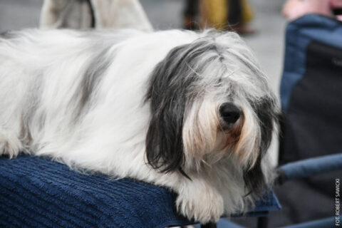 Jedenaście najlepszych rzeczy, które można robić w Bydgoszczy w weekend 13-15 lutego. Żadnej nudy [ZAPOWIEDZI]