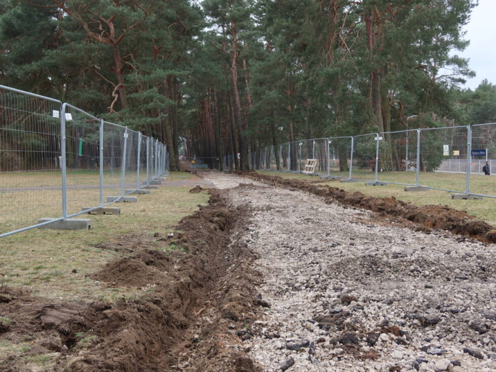 Park leśny na Błoniu będzie miał odnowioną aleję. Rozpoczęła się przebudowa [ZDJĘCIA]