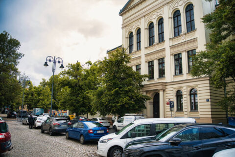 Mural przy Państwowym Liceum Sztuk Plastycznych