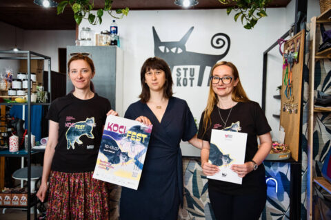 Festiwal Miłośników Kotów w Bydgoszczy. Stowarzyszenie Stukot i Koci Fest - wszystko o wszystkich kotach
