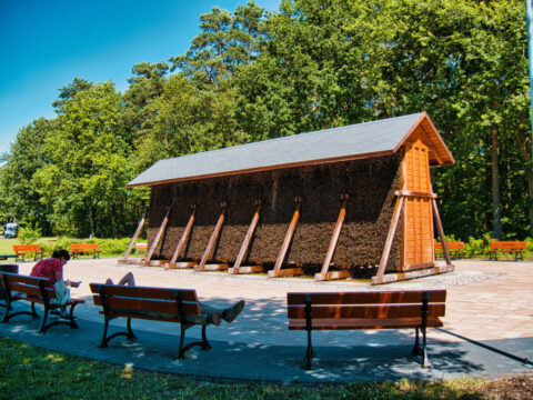 Myślęcinek najlepszy na lato. Leśny Park Kultury i Wypoczynku zaprasza –  nie tylko w weekend [ZDJĘCIA]