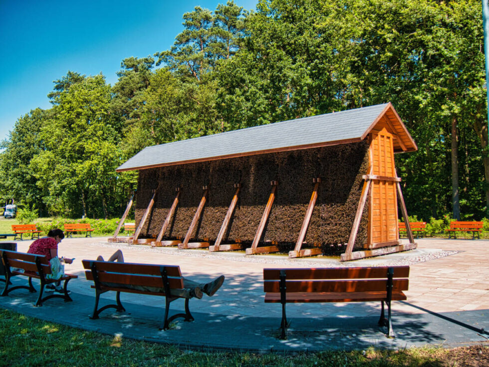 Myślęcinek najlepszy na lato. Leśny Park Kultury i Wypoczynku zaprasza –  nie tylko w weekend [ZDJĘCIA]