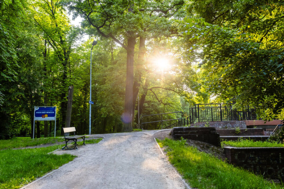 Rodzinny Eko Piknik nad Kanałem Bydgoskim. To przystanek na trasie projektu Czyste, Zielone Miasta