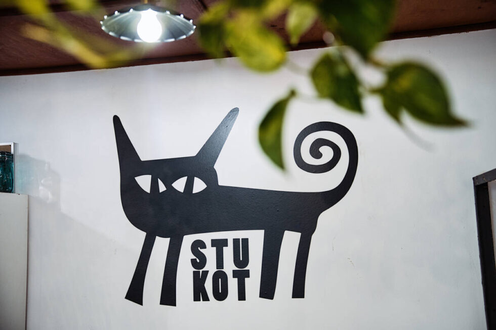 Słodki weekend Fundacji Stukot czyli Dzień Kota. Ciasta, premiera nowej linii gadżetów i zbiórka na rzecz kociaków