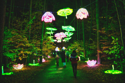 Lumina Park