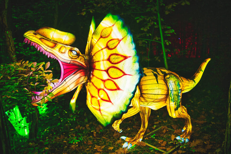 Zwierzęta w Myślęcinku obejrzymy nawet po ciemku. Lumina Park rozświetlił się kolejny raz w Bydgoszczy [ZDJĘCIA]