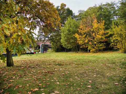 Park im. Piotra Samujło