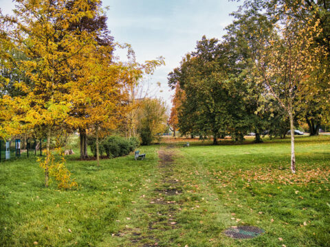 Park im. Piotra Samujło