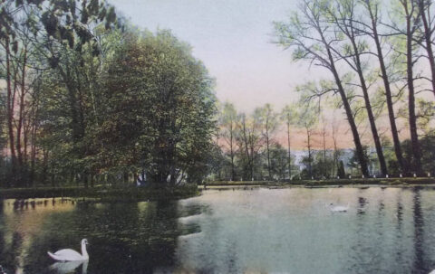 Kanał zamiast ulicy? 