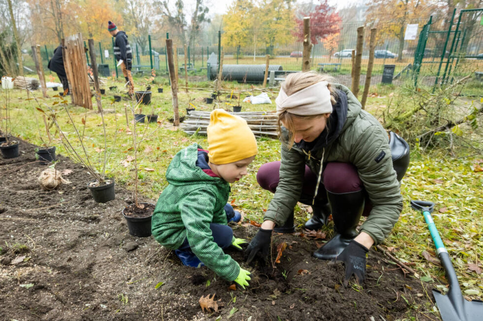 Nowy ogród w Bydgoszczy. Mieszkańcy stworzyli go w parku niedaleko dworca kolejowego [ZDJĘCIA]