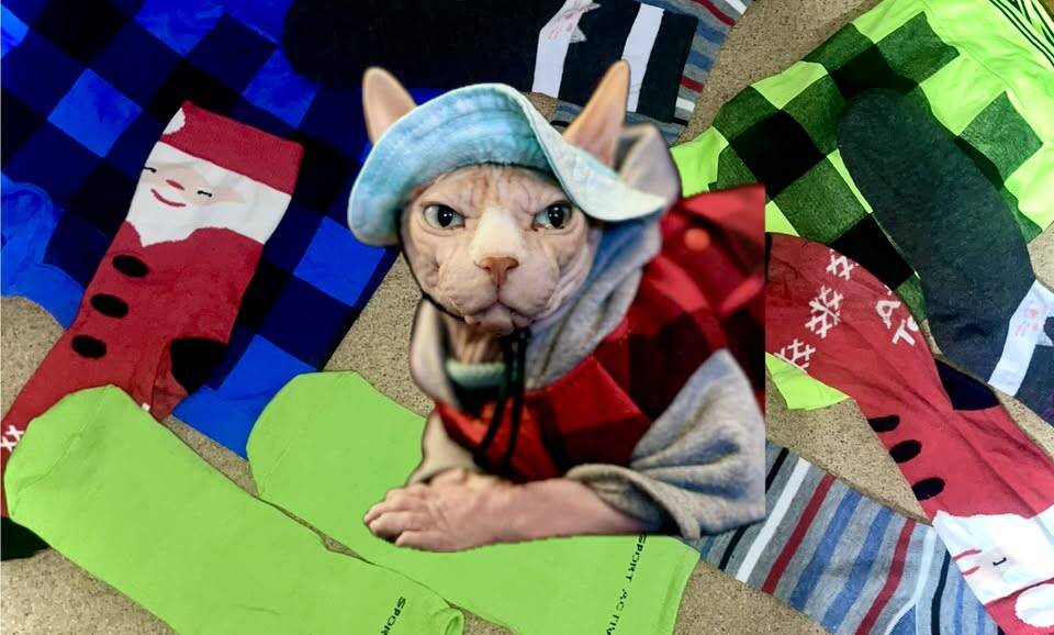 Studenci UKW na pomoc potrzebującym – kampania „Skarpetki pełne nadziei”