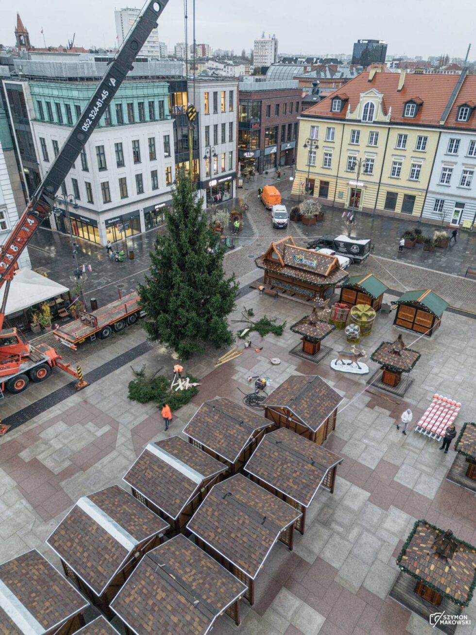 Świąteczna choinka z Borów Tucholskich stanęła na Starym Rynku. Rozświetli się na rozpoczęcie Bydgoskiego Jarmarku Świątecznego