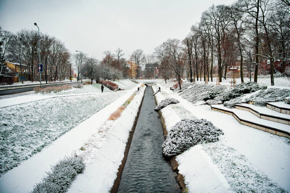 Pogoda na sylwestra 2025. Uwaga na oblodzenia i śnieżne zawieje