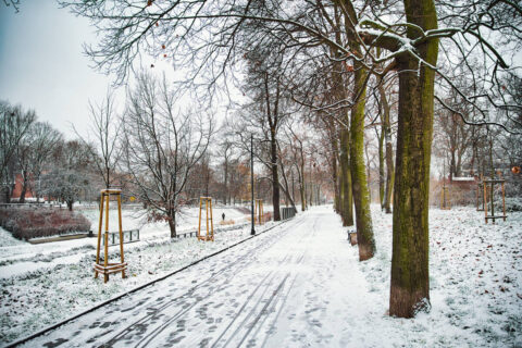 Pierwszy śnieg w Bydgoszczy