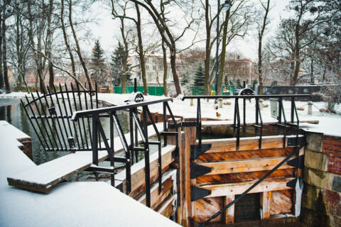 Pierwszy śnieg w Bydgoszczy