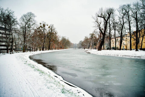 Pierwszy śnieg w Bydgoszczy