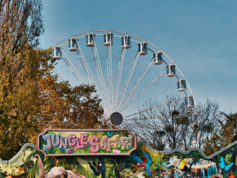 Rozstawianie Jarmarku