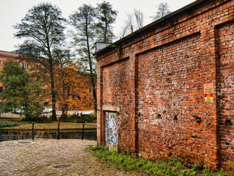 Farbiarnia Wilhelma Koppa